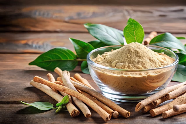 Anxiolytic potential of ashwagandha (Withania somnifera): ayurvedic applications and therapeutic perspectives
